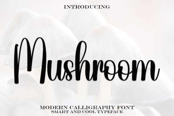 Mushroom: Elevating Design with Modern Calligraphy